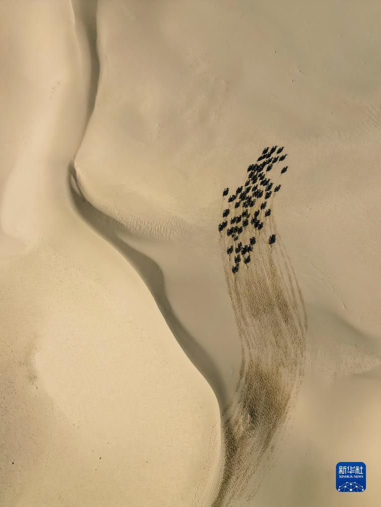 永利网注册网址
